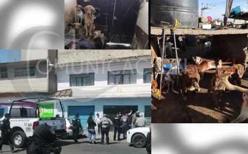 Video: Catean y detienen a presunto engordador de perros de Nezahualcóyotl